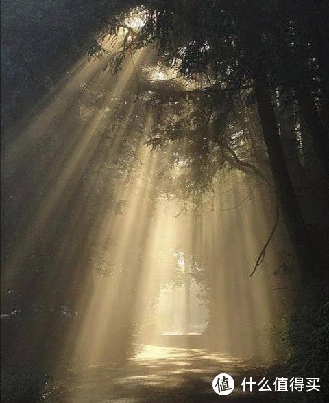 光圈值怎么设置？1分钟学会，风景、人像、花卉轻松拍！