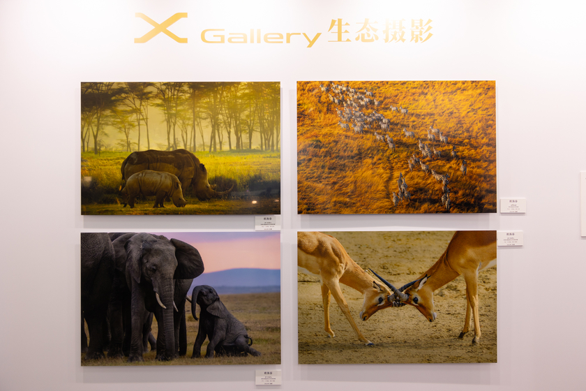 P&E2024：X100VI炙手可热 富士展台实况报道