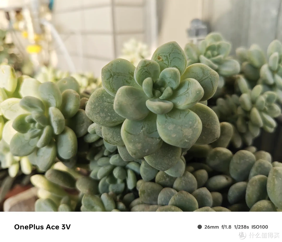 二狗聊数码 篇一百八十：1999元搞定性能小钢炮？一加 Ace3V实测体验
