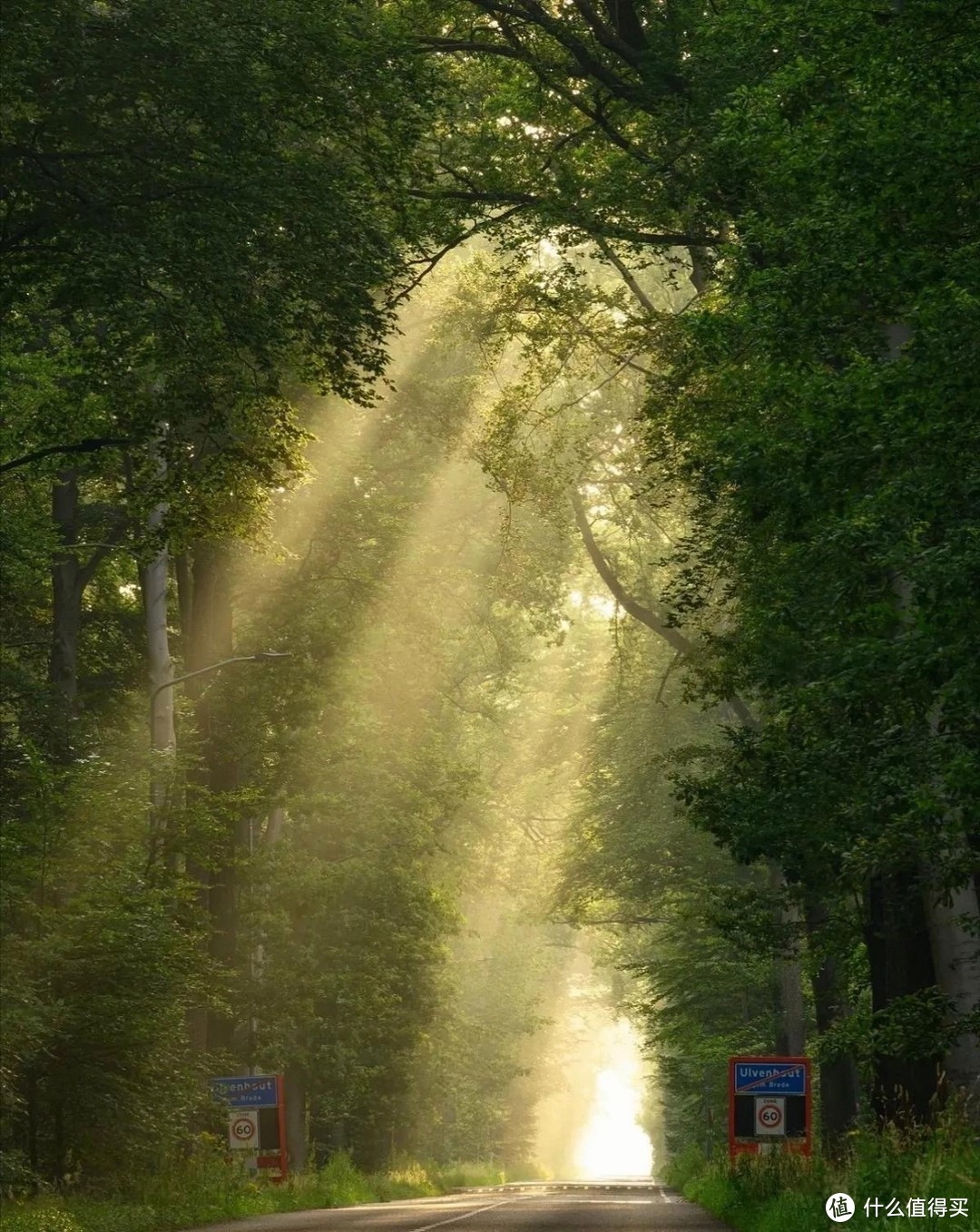 光圈值怎么设置？1分钟学会，风景、人像、花卉轻松拍！