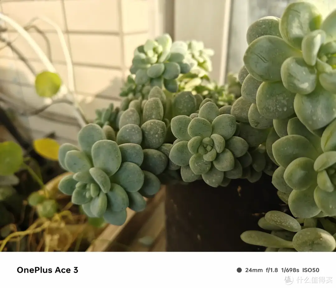 二狗聊数码 篇一百六十二：中端手机新标杆，一加 Ace3初体验