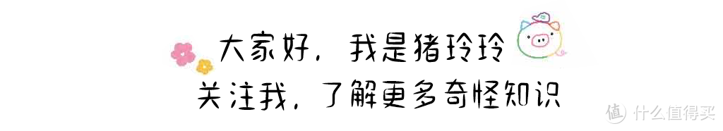 画质向，索尼全画幅E卡口镜头入手攻略