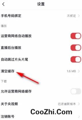 央视频如何清空缓存优质
