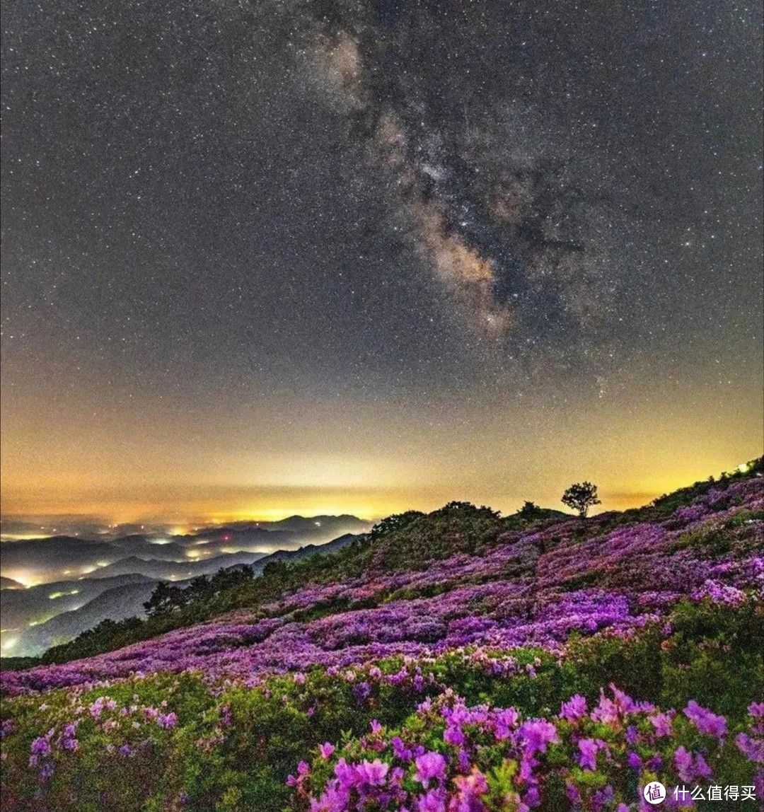 光圈值怎么设置？1分钟学会，风景、人像、花卉轻松拍！