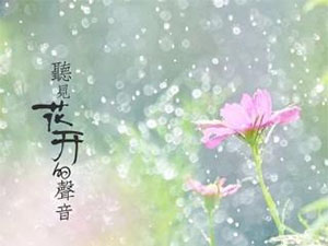 全球各国邮政数字化转型的投资对比