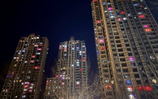 「2023摄影征文」2023年尾巴生活碎片