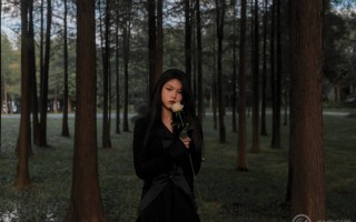 白玫瑰