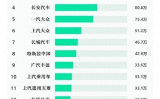 2024年我国国内新能源汽车市场销量排名
