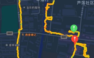 扫街-撸猫