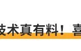 国产纯电跑车，电池+魔方，再也不会怕自燃了！