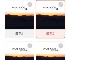 未发布先报价？vivo X100价格外泄：12+256 3999元 被紧急下架