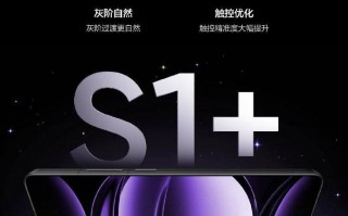 真我GT6与BOE联手，真我GT6，首款BOE S1+旗舰直板屏真我 GT6 正式发布