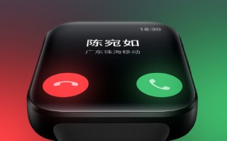 魅族智能手表芯片公布：高通旗舰加持