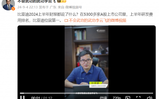 5300家A股公司排名第一，比亚迪上半年研发投入破200亿