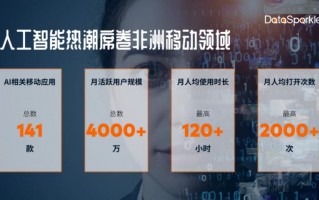 非洲 AI崛起，潜力无限的发展领域