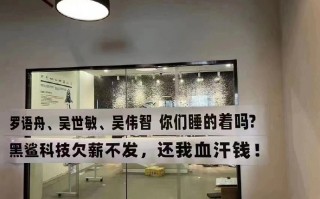 黑鲨被曝拖欠员工离职补偿金 CEO微博变大型讨赔偿金现场
