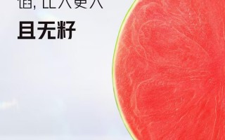 极窄真全面屏！红魔10 Pro系列游戏手机官宣