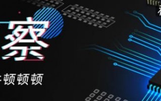 腿神路虎，不屈的坚韧与痛苦的交织