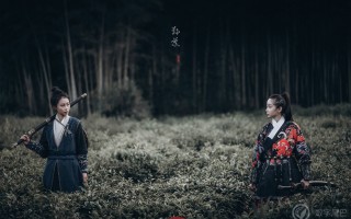 我眼中的武侠江湖-7