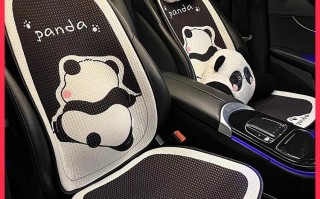 你的小车🚗安排了坐垫吗？