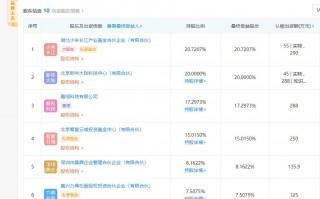 小米入股芯片研发商：雷军成实际控制人