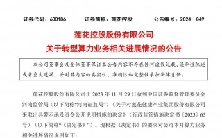 莲花启动AI转型，味精大王布局计算业务
