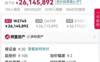 2614万元拍下手机号买家称拍错了！尾号6个9手机号拍出天价