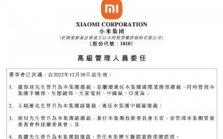 小米集团：卢伟冰晋升为本集团总裁