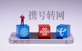 转网体验，凌晨4点排队只为公平接入
