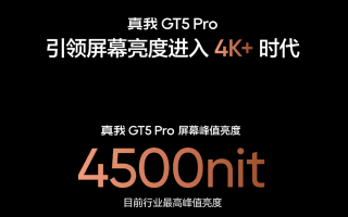 realme 真我 GT5 Pro 手机首发“无双屏”：峰值亮度达 4500 尼特，手动亮度至高 1000 尼特
