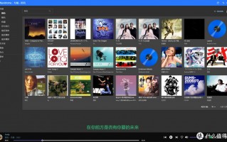无惧工具，挥舞双手， NAS音乐刮削实战攻略已完整