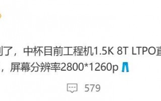 量子点屏幕，IQOO 13规格曝光，骁龙8 Gen4+1.5K工程机直屏设计