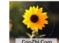 PS如何把图片切个半圆出来优质