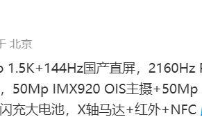 iQOO Neo9 Pro 手机参数曝光：天玑 9300 + 自研 Q1 芯片，144Hz 国产直屏