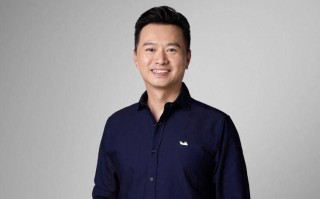李裁减事件，主动脉危机的导火索和潜在解决方案