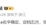 Vivo X100 Ultra 何时发布？