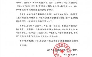 昔日头部新势力倒闭，车机马上变「板砖」，买车必须承受这个风险？